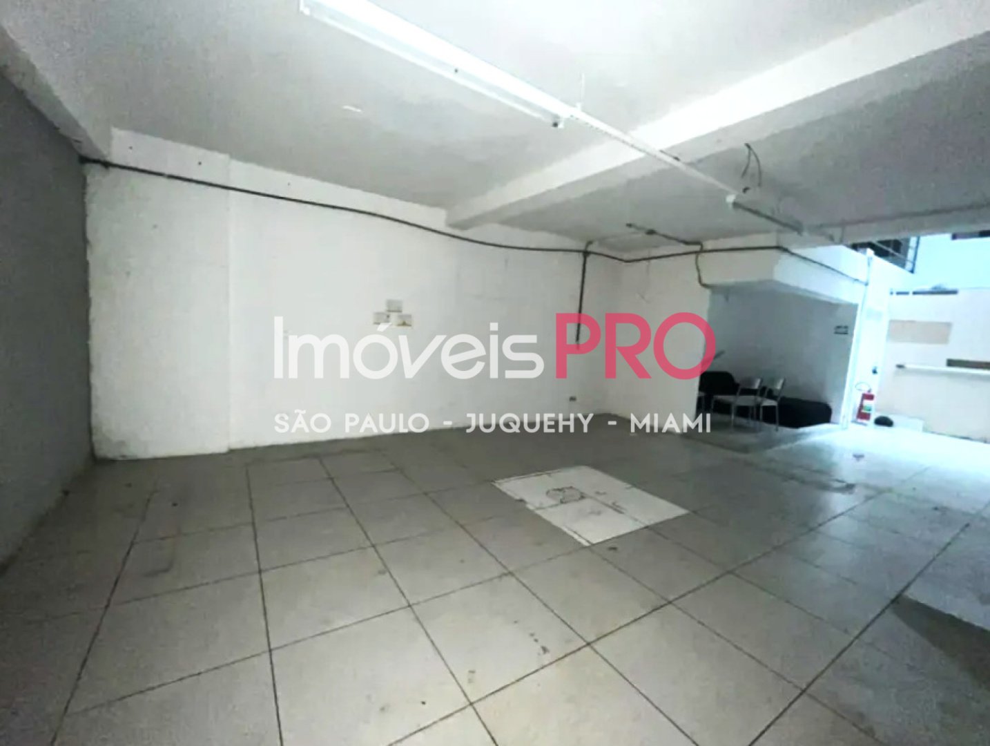 Foto :: IP39956