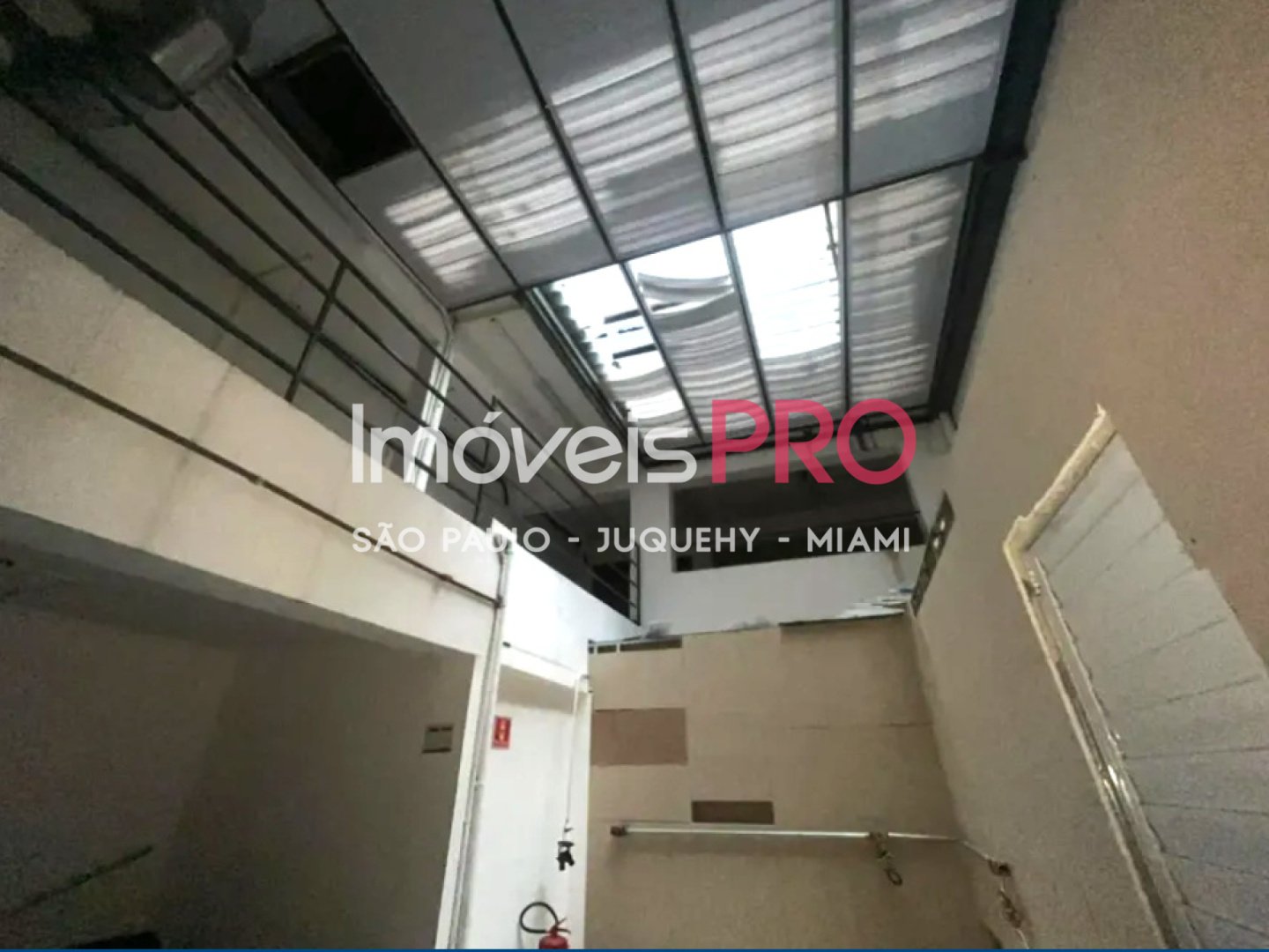 Foto :: IP39956