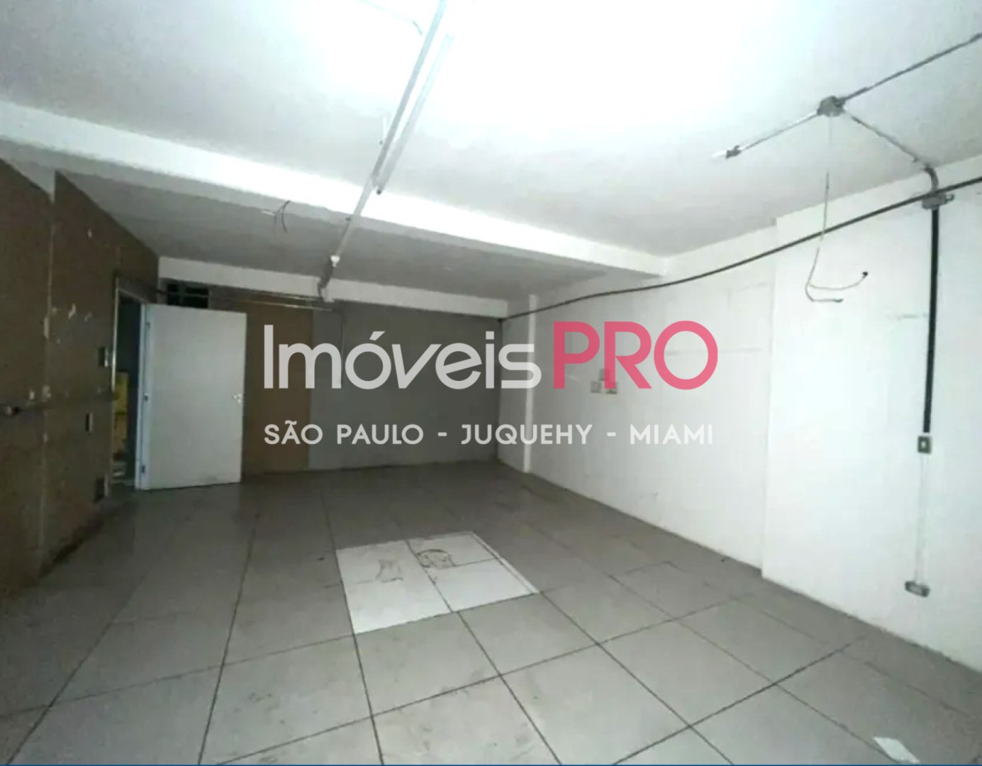 Foto :: IP39956