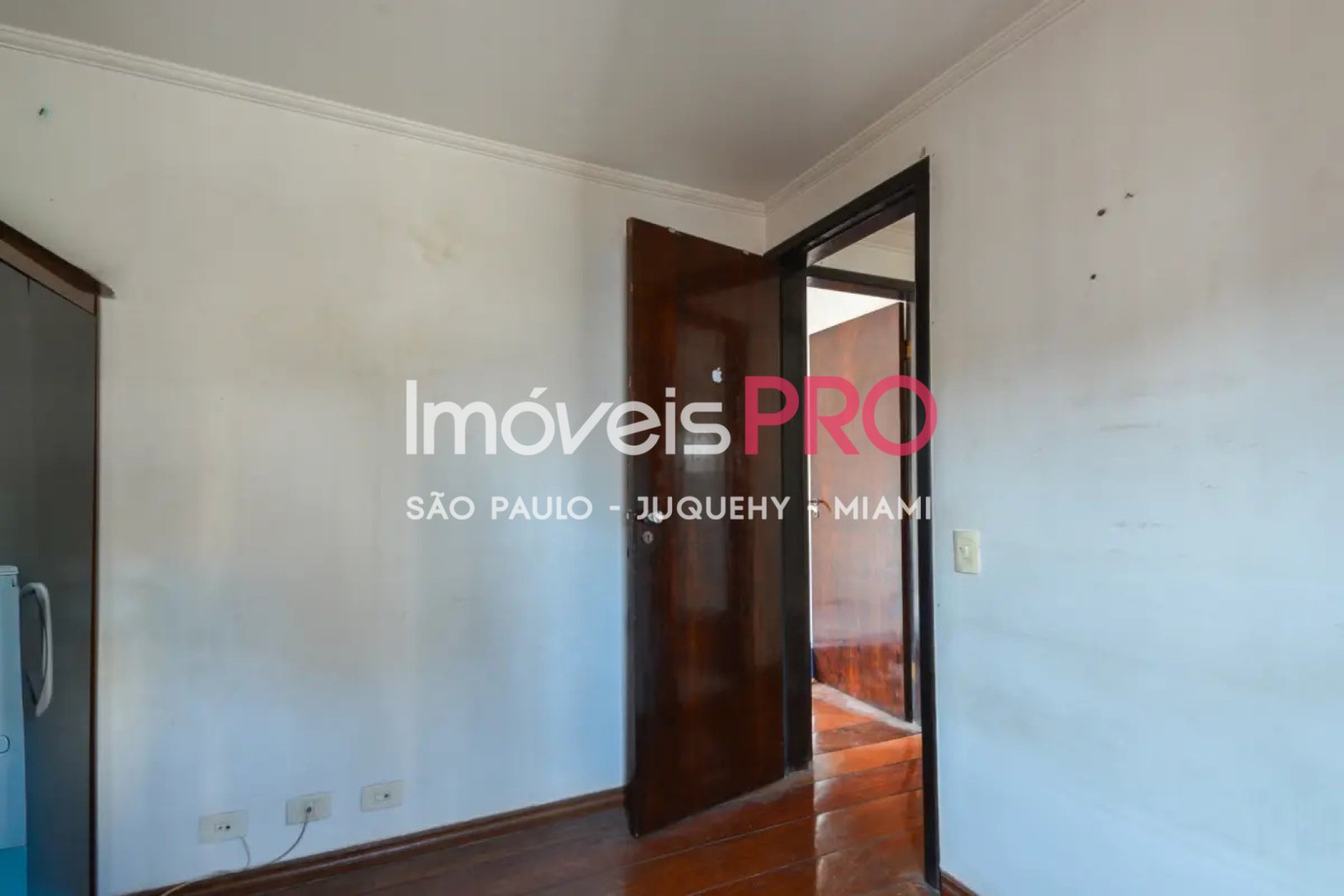 Foto :: IP39961