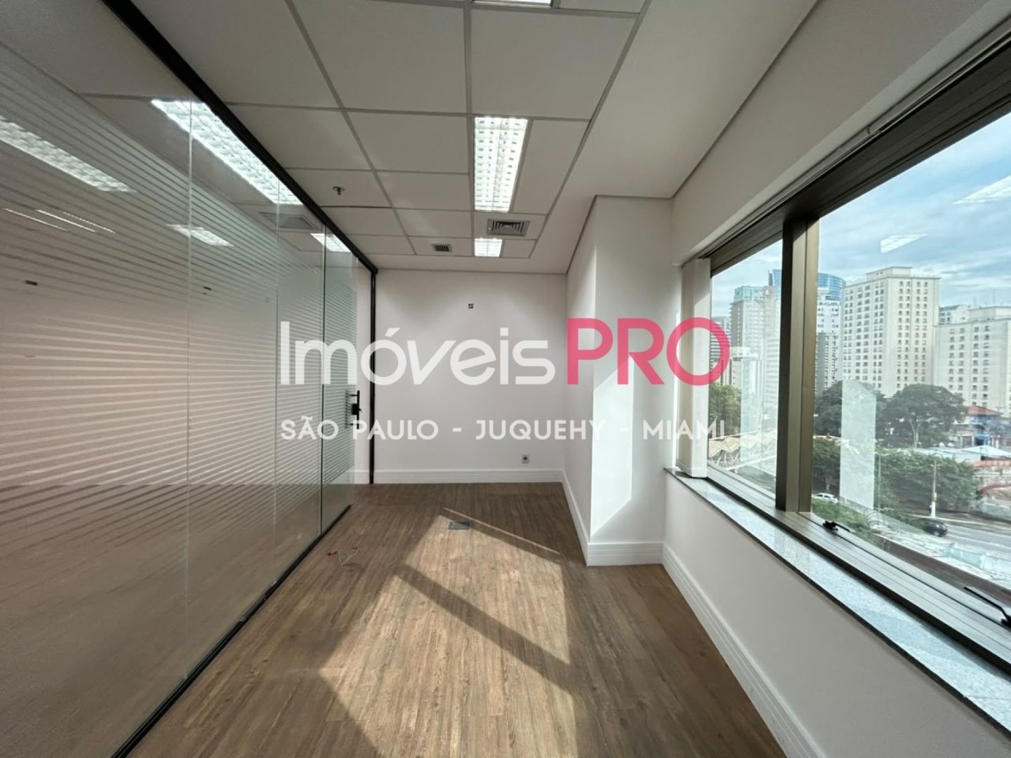 Foto :: IP39962