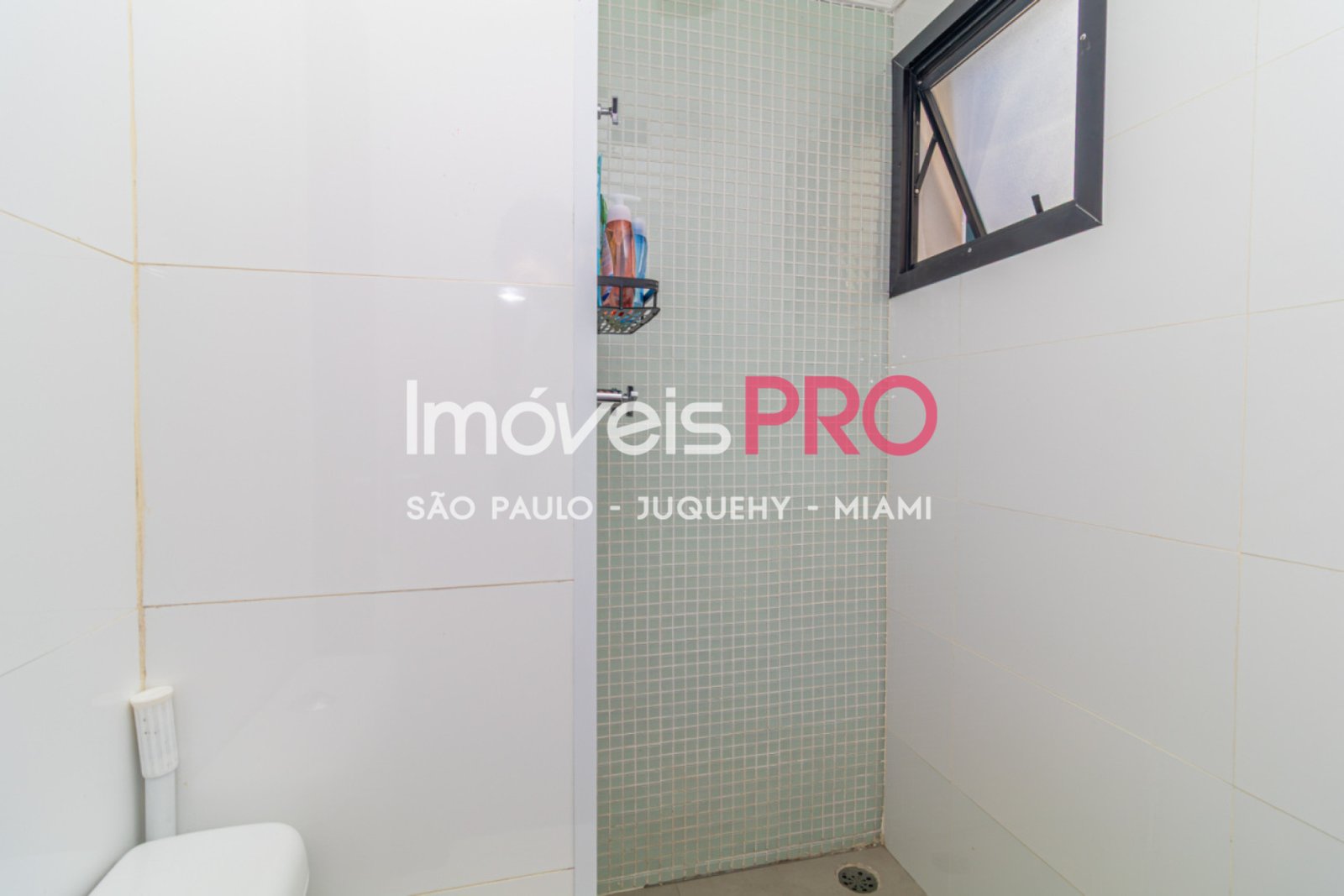 Foto :: https://assets.imoveispro.com.br/thumb/IP39973/apartamento-venda-moema-passaros_IP39973_23_1920x1080.jpg?