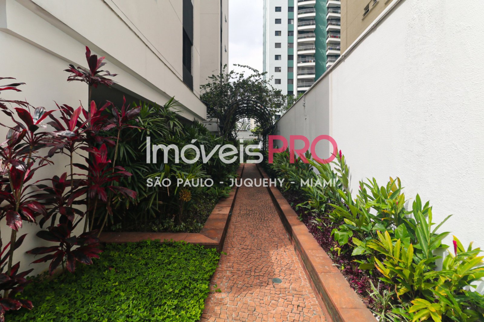 Foto :: IP39973