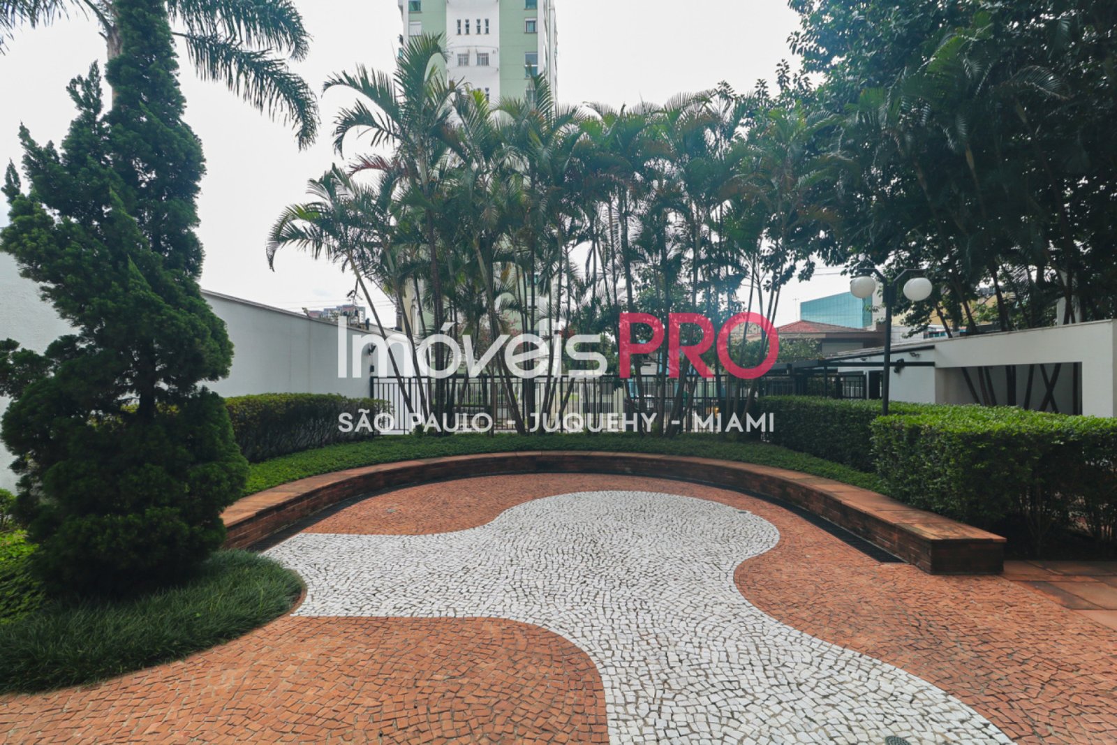 Foto :: IP39973