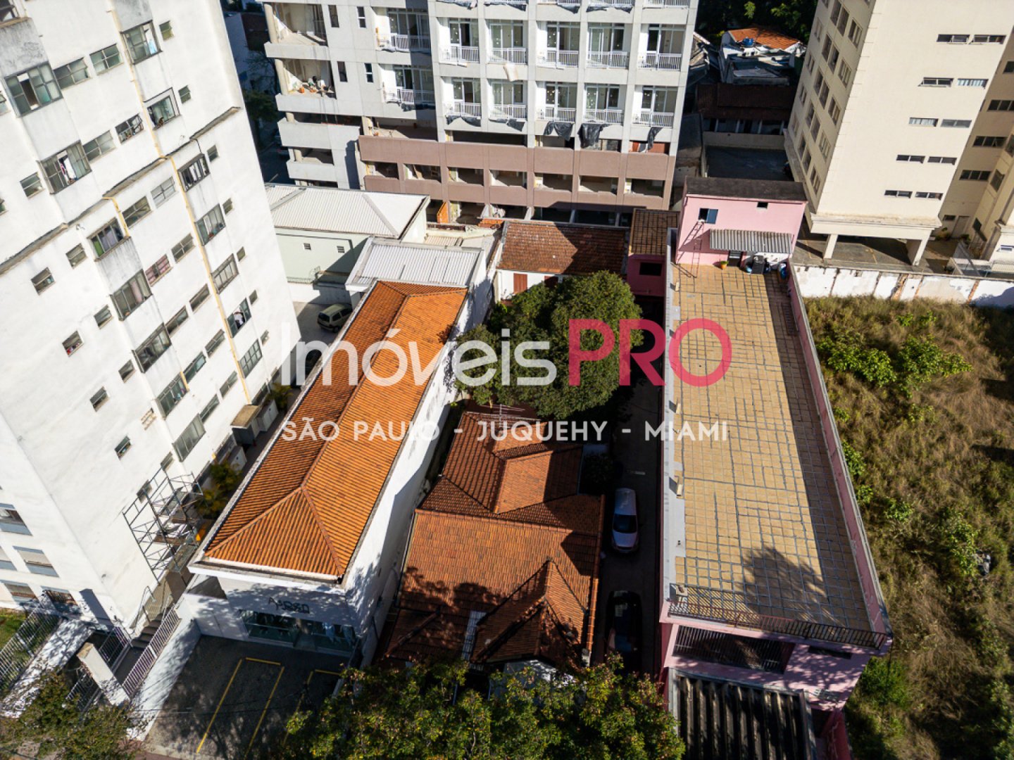 Foto :: IP39976