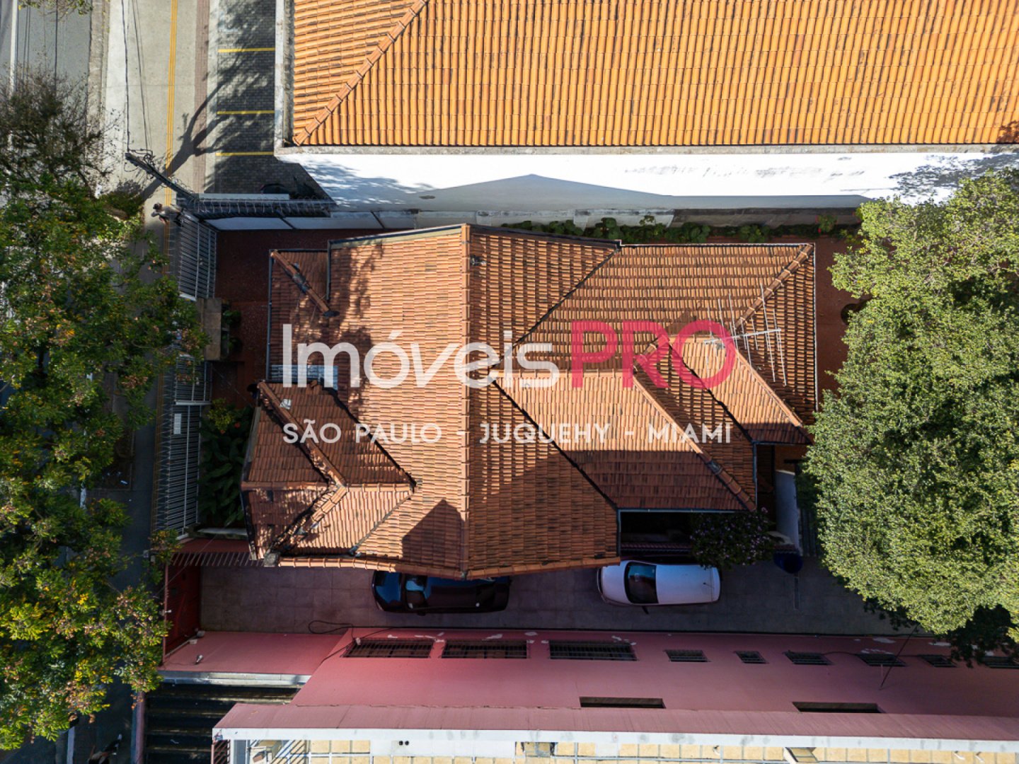 Foto :: IP39976