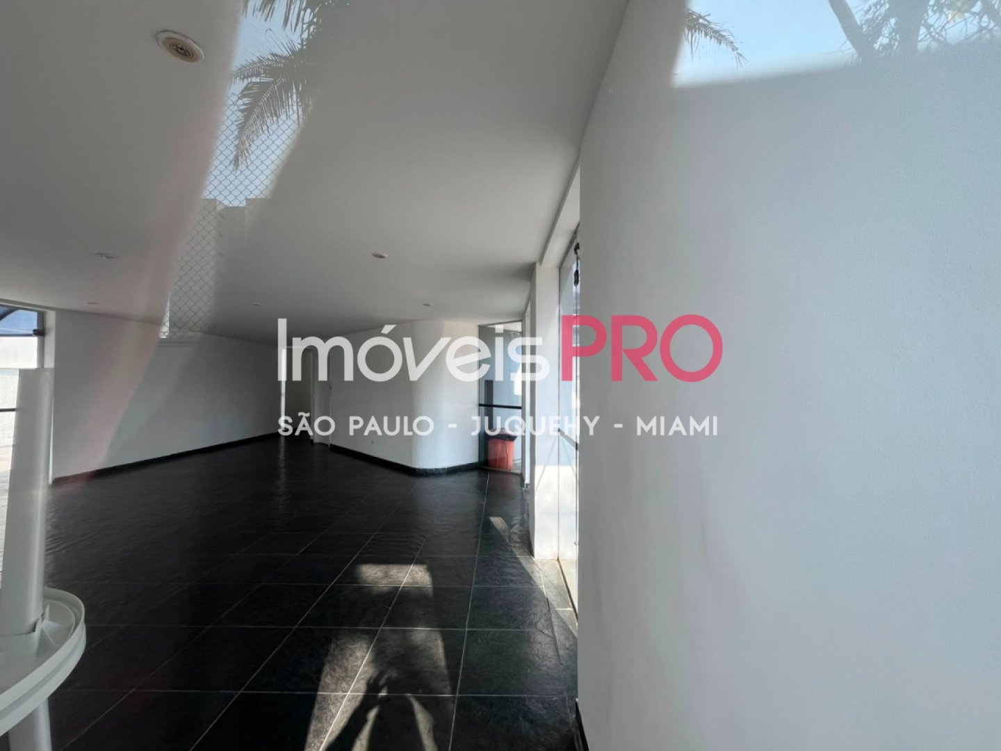 Foto :: IP39978