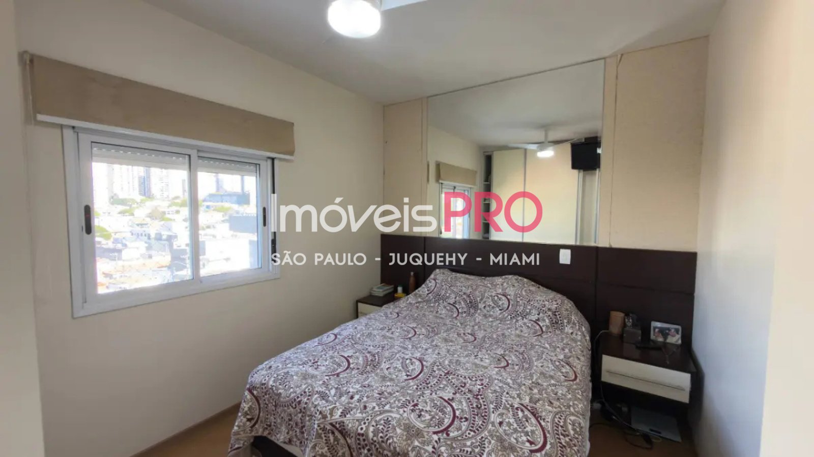 Foto :: IP39987