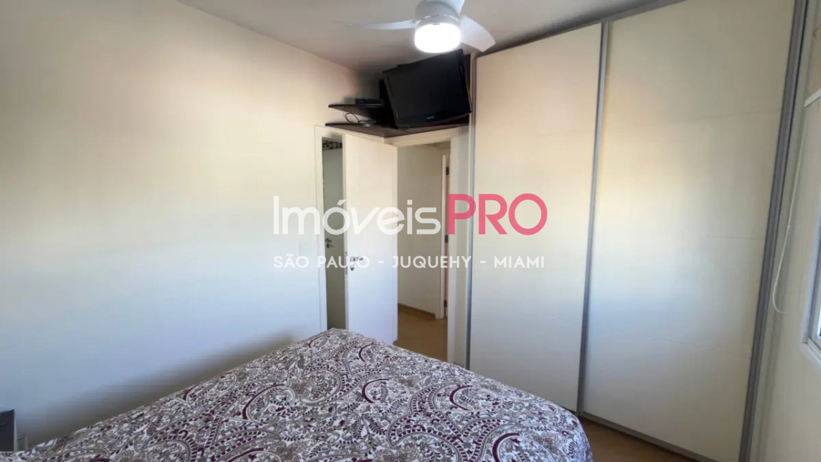 Foto :: IP39987