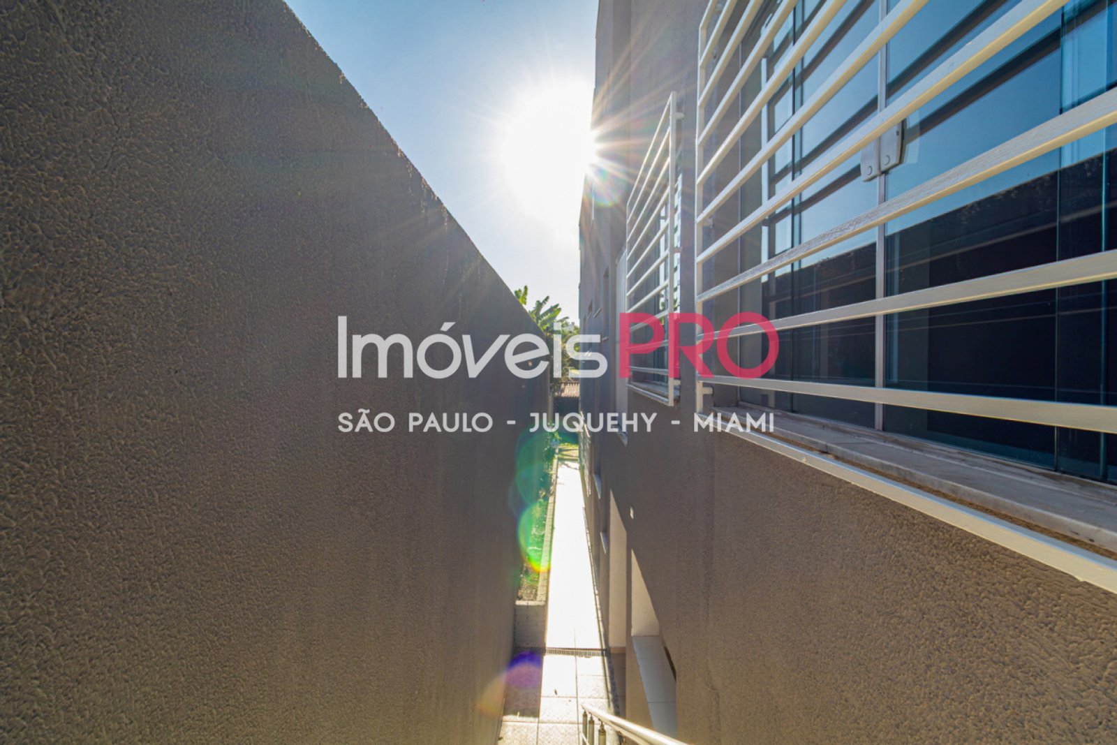 Foto :: IP40001
