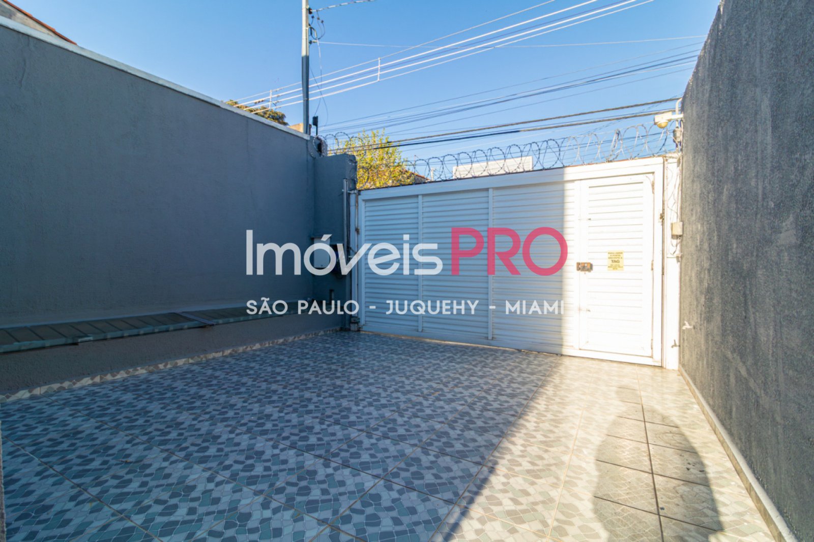 Foto :: IP40001