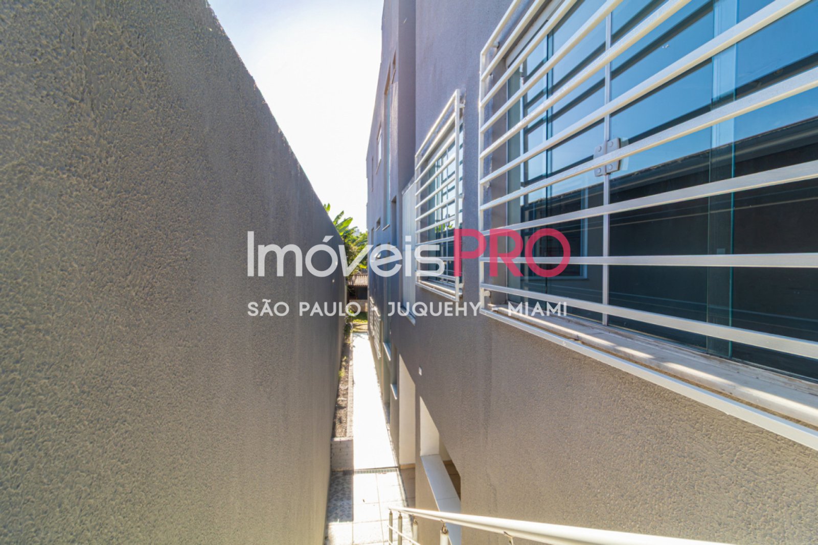 Foto :: IP40001