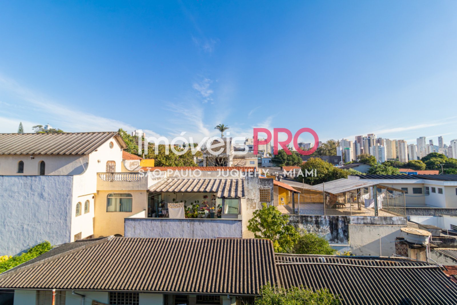 Foto :: IP40001