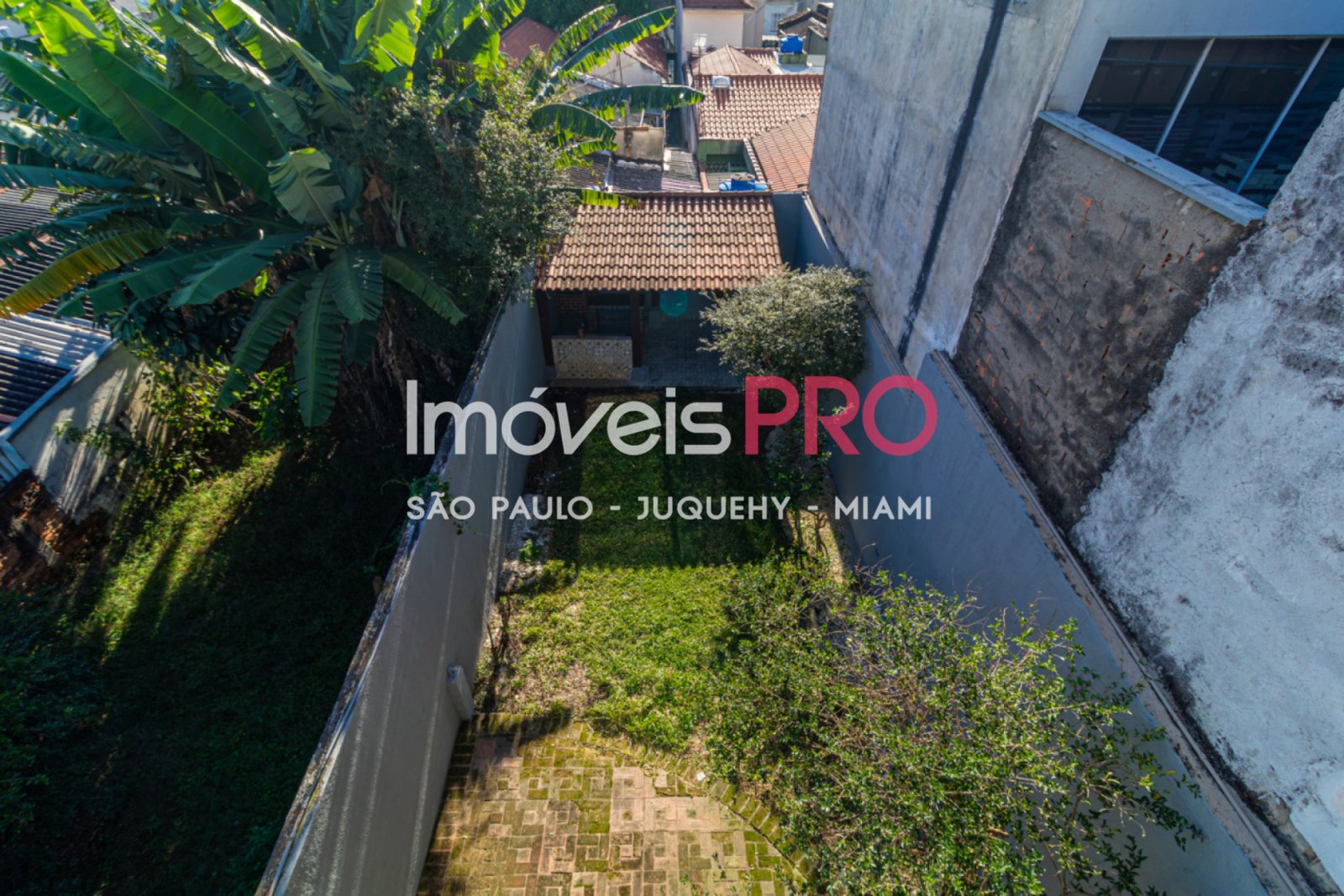 Foto :: IP40001
