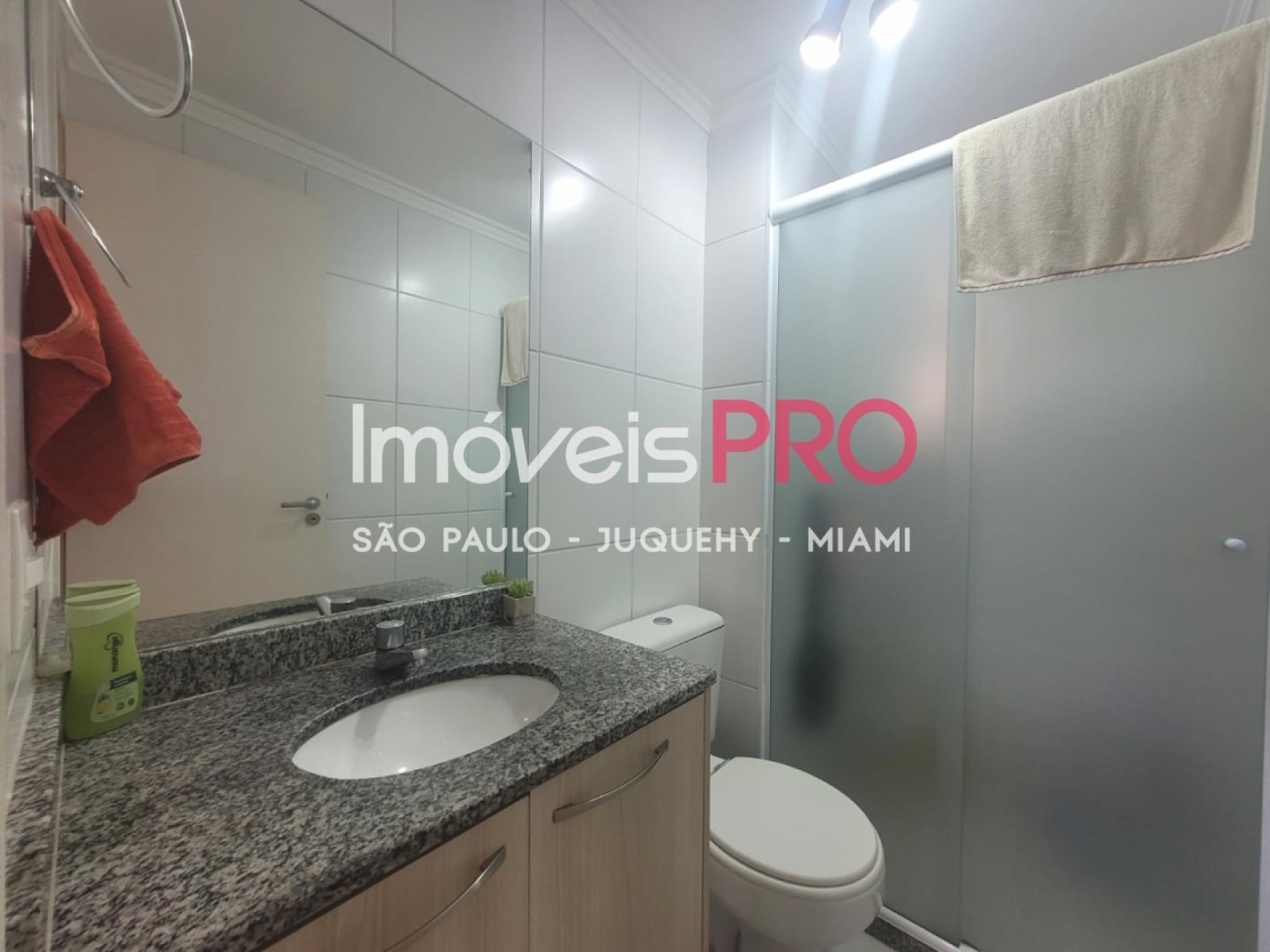 Foto :: IP40002