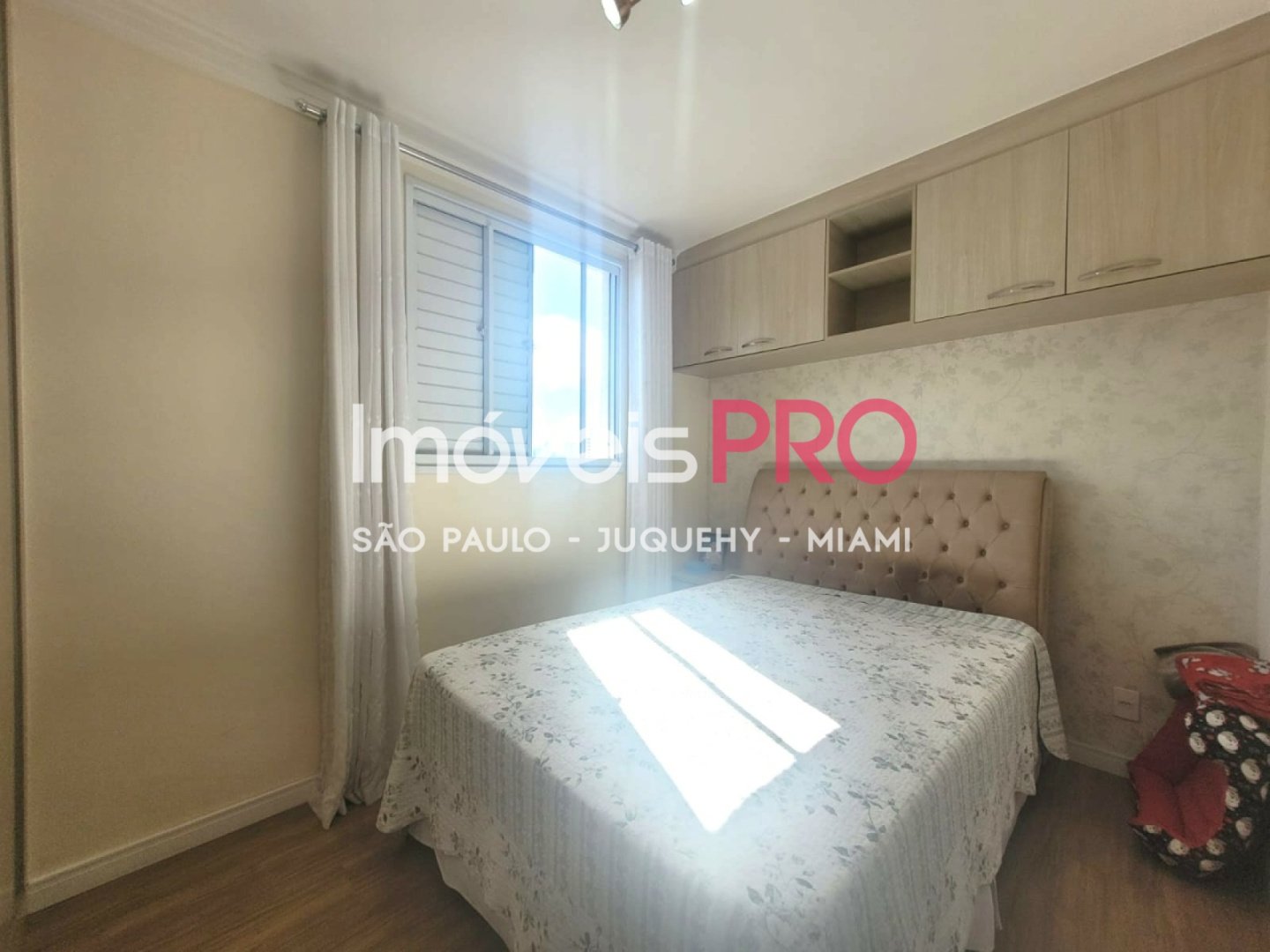 Foto :: IP40002