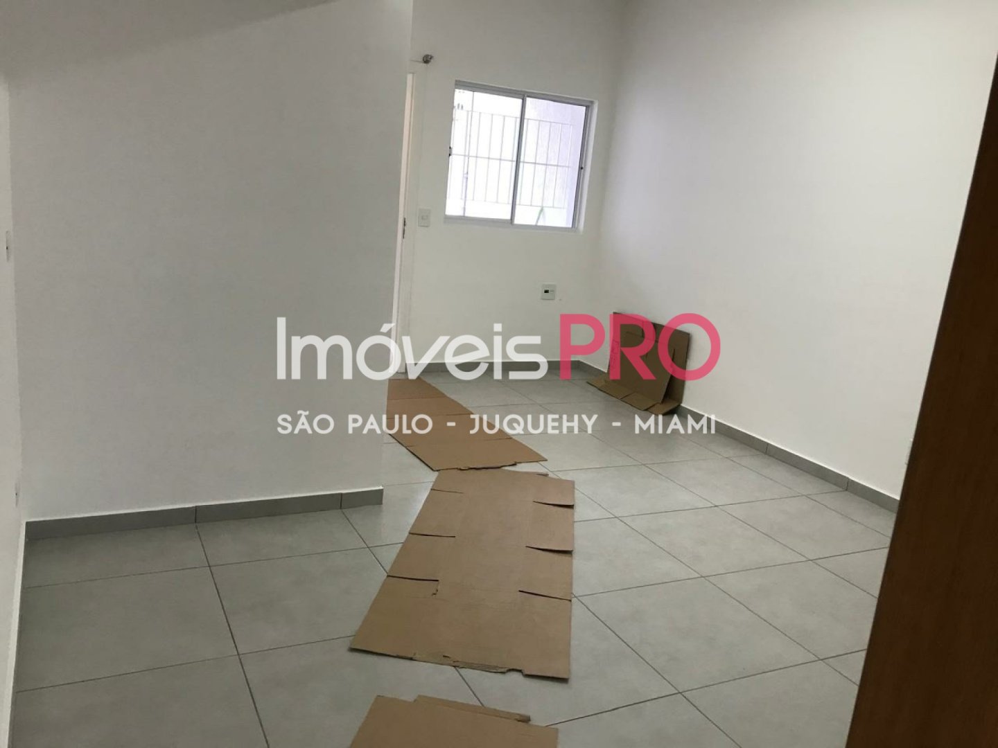 Foto :: IP40009
