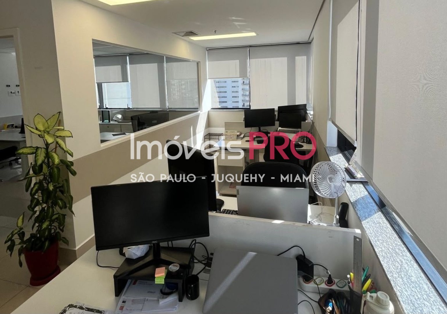 Foto :: IP40017