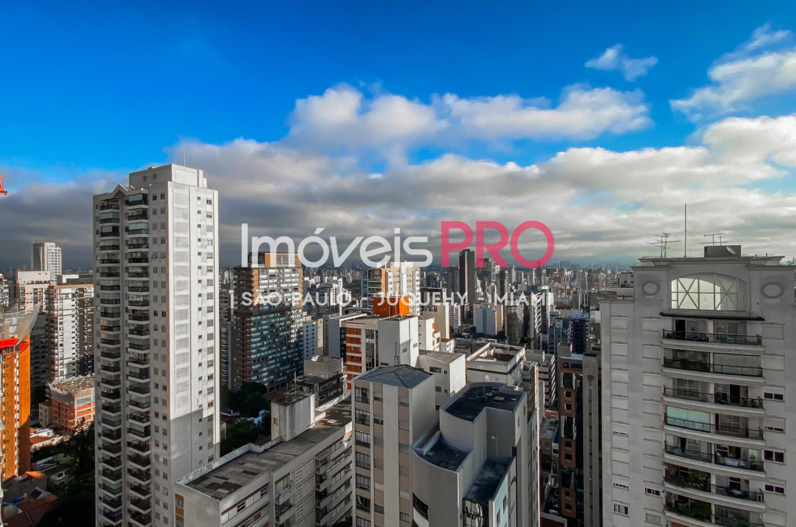 Foto :: IP40020