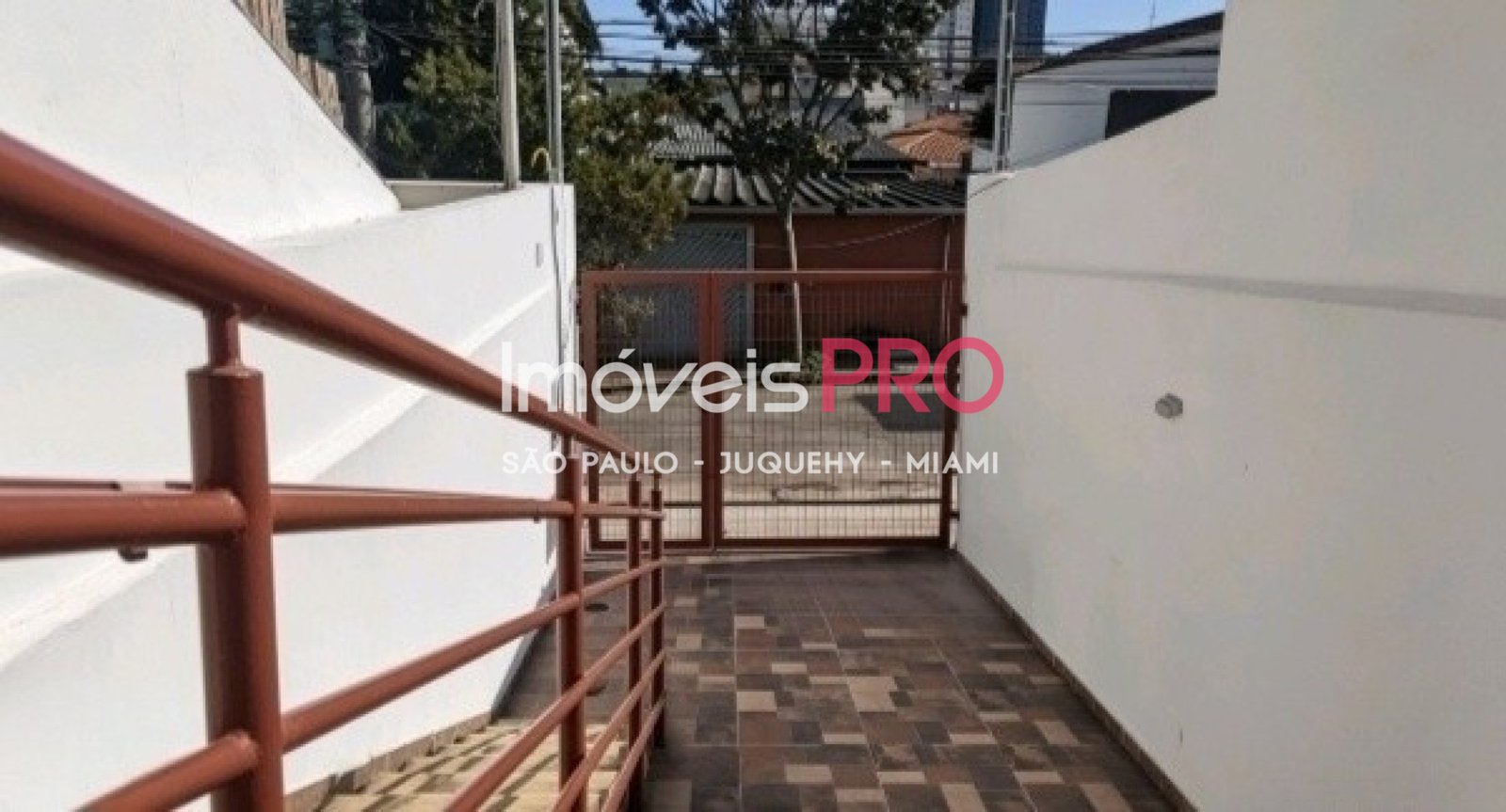 Foto :: IP40027