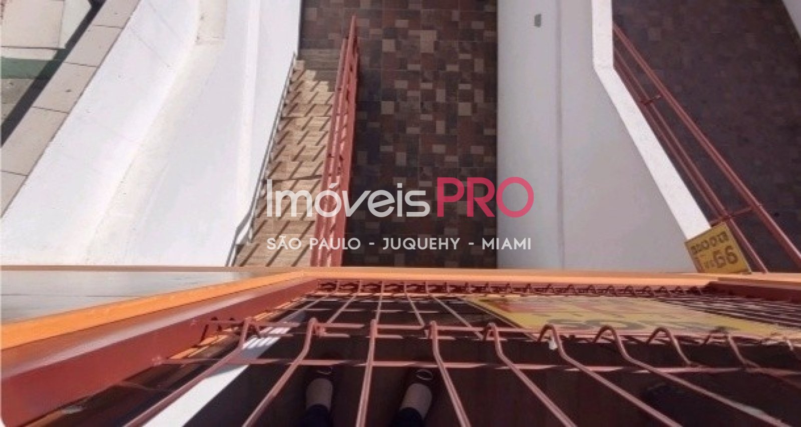 Foto :: IP40027