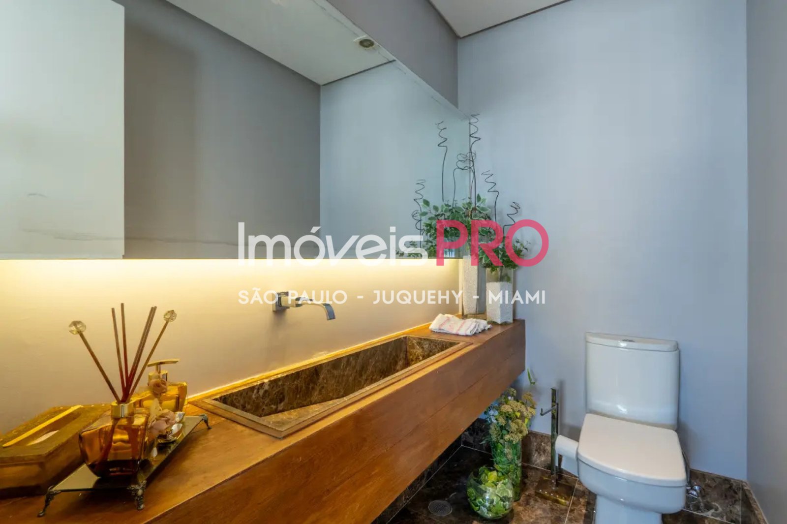 Foto :: IP40028
