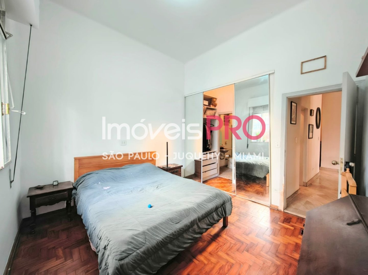 Foto :: IP40034