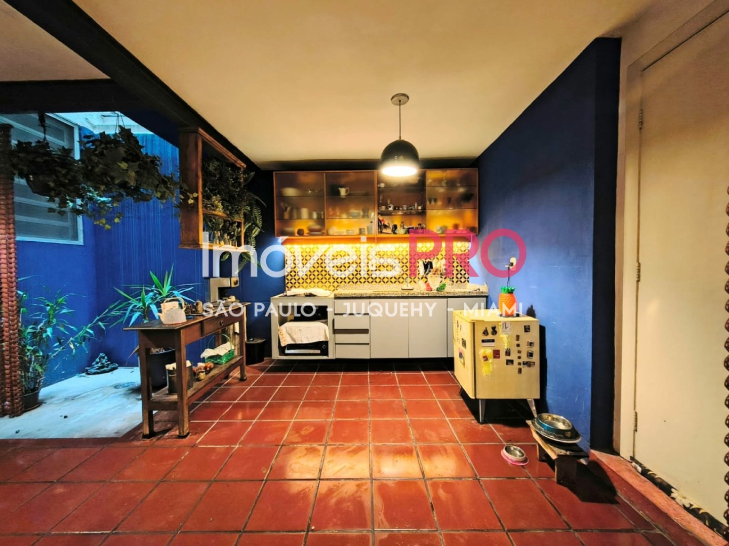 Foto :: IP40034