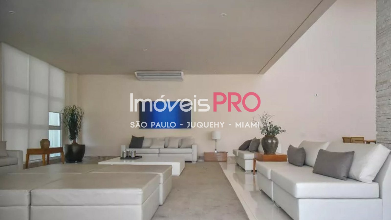 Foto :: IP40036