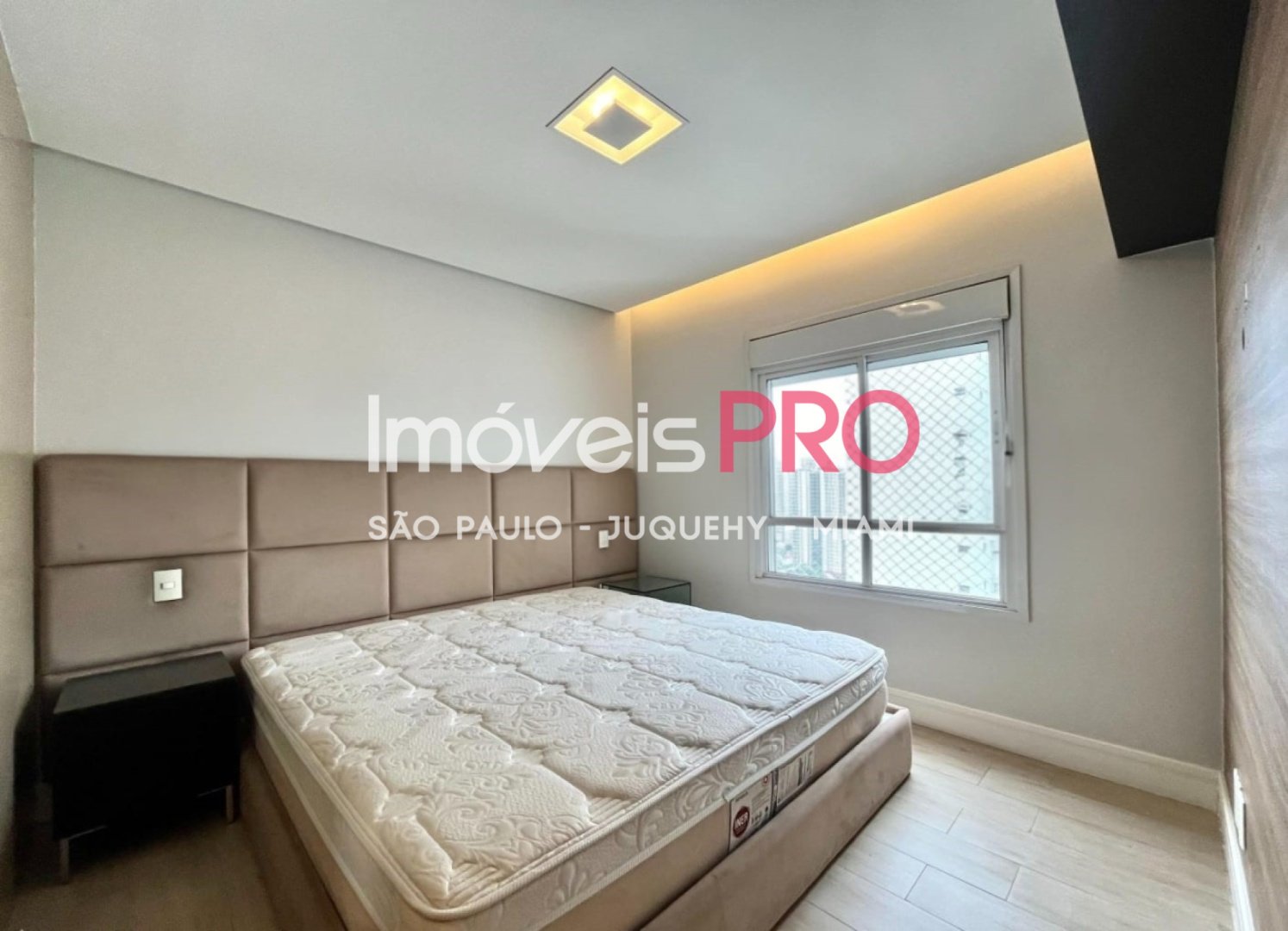 Foto :: IP40037
