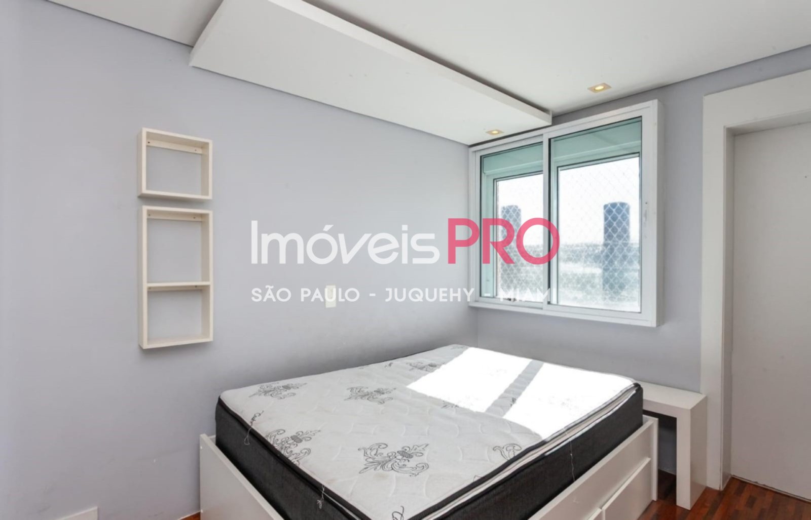 Foto :: IP40038