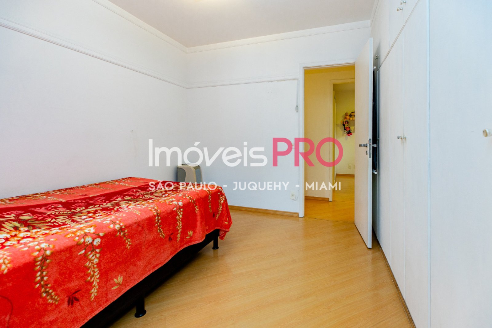 Foto :: IP40040