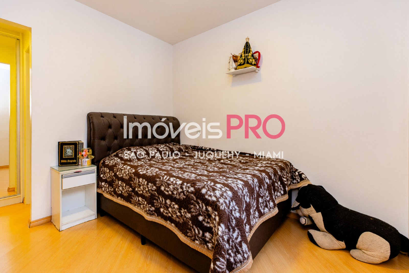 Foto :: IP40040