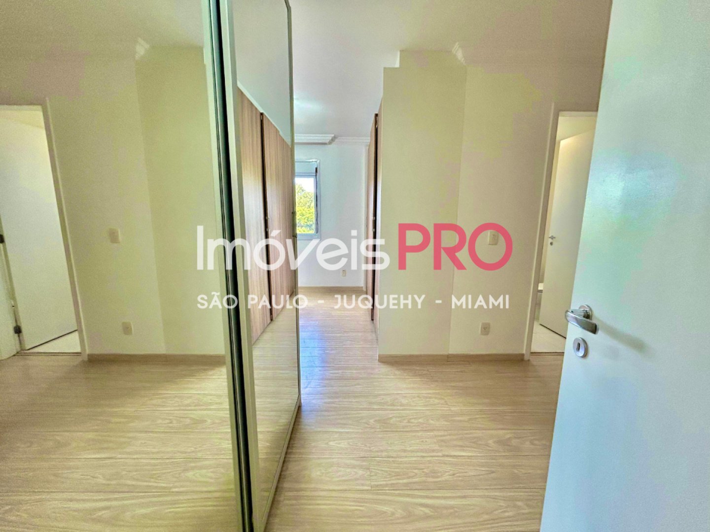 Foto :: IP40043