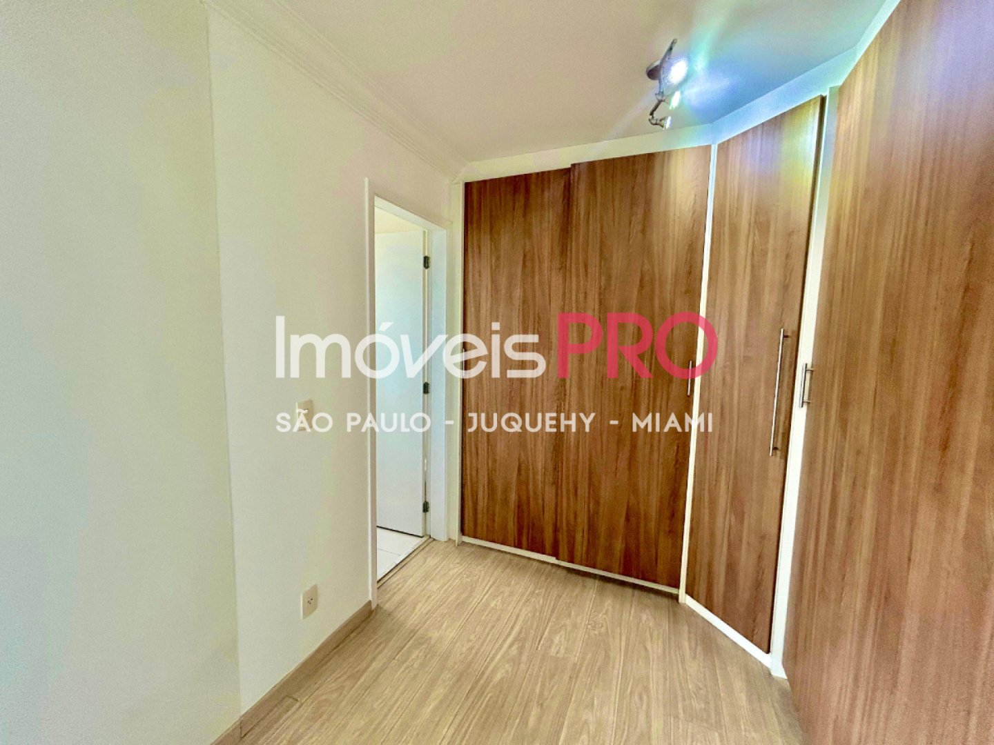 Foto :: IP40043