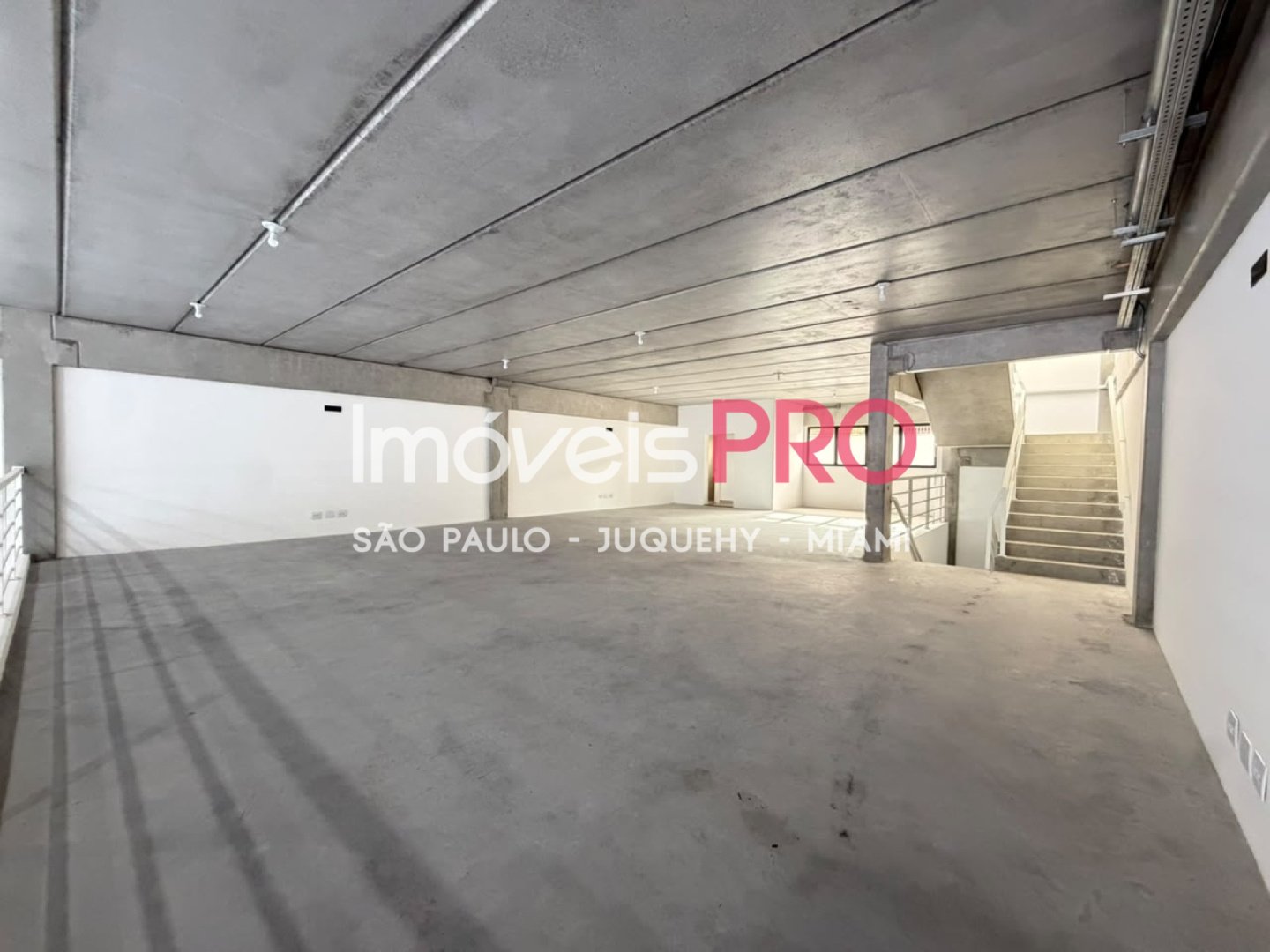 Foto :: IP40045