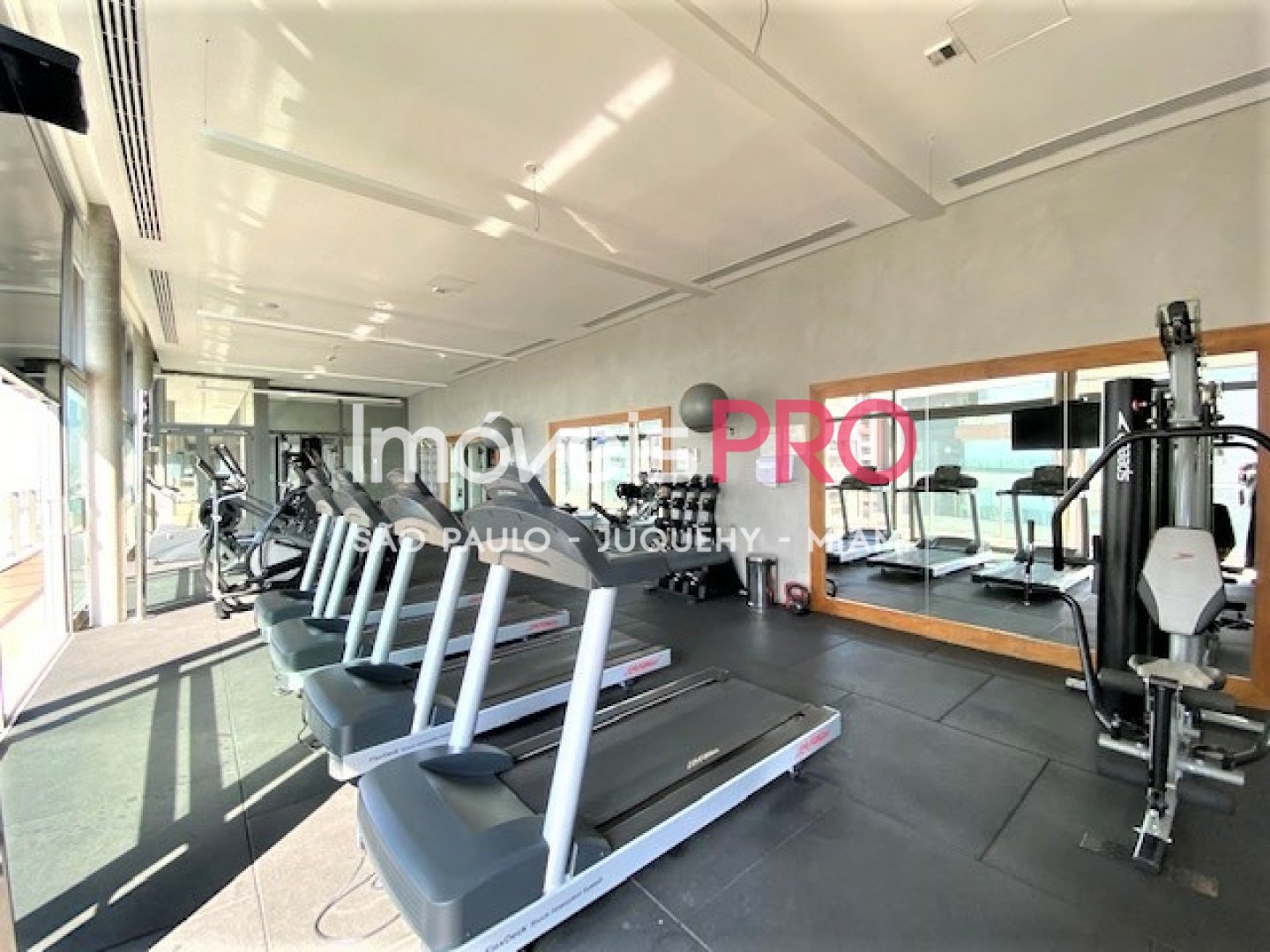 Foto :: IP40046