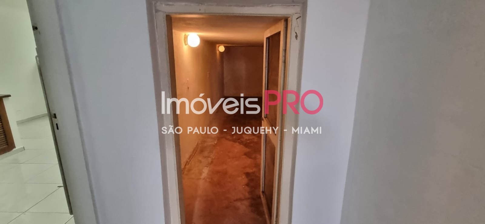 Foto :: IP40048