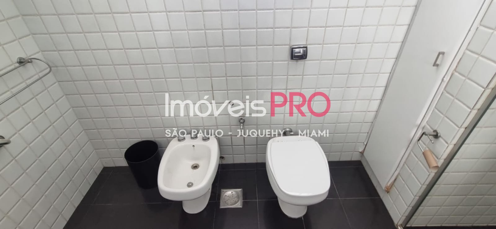 Foto :: IP40048