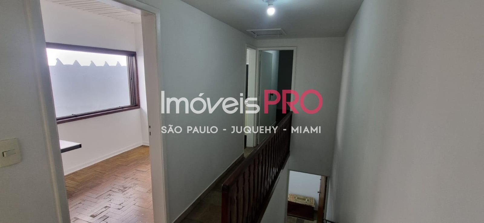 Foto :: IP40048