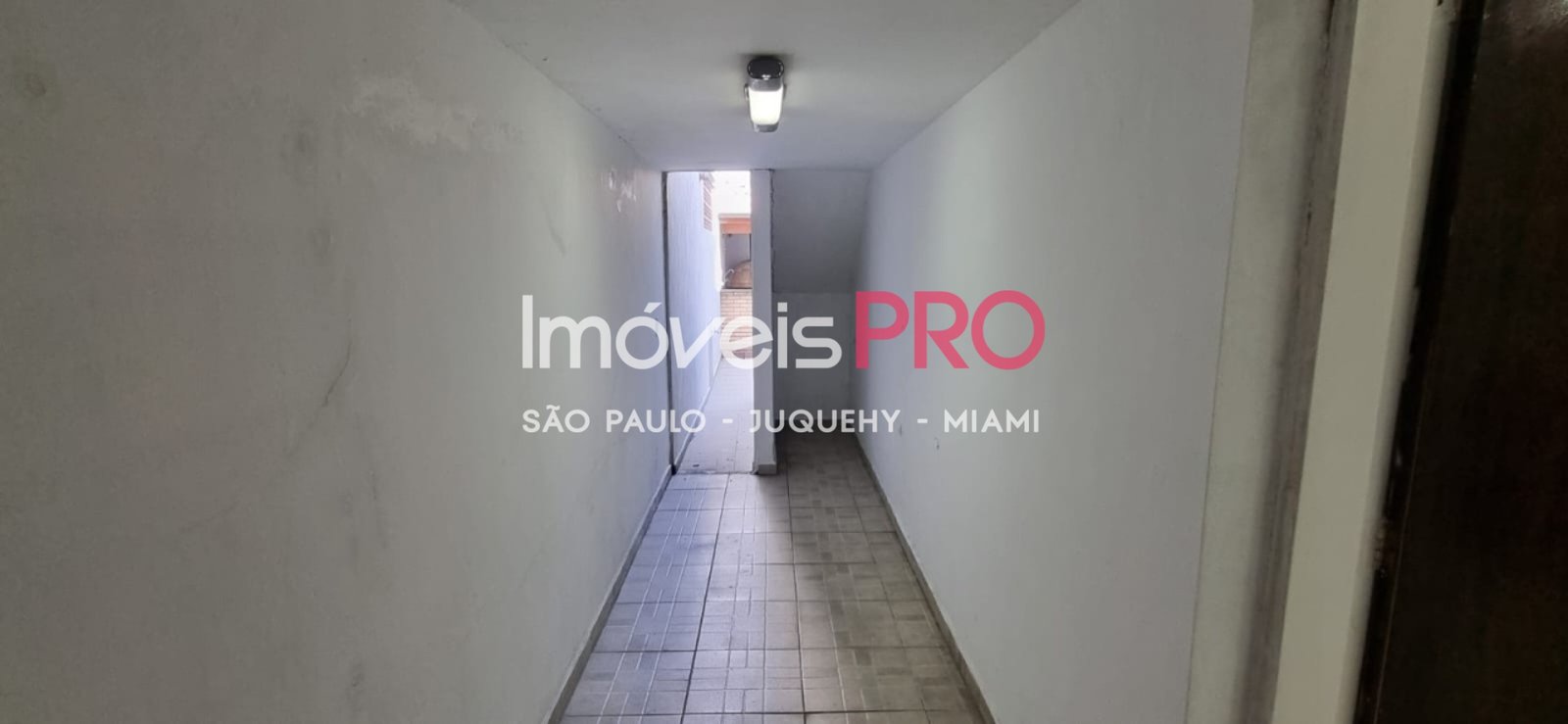 Foto :: IP40048