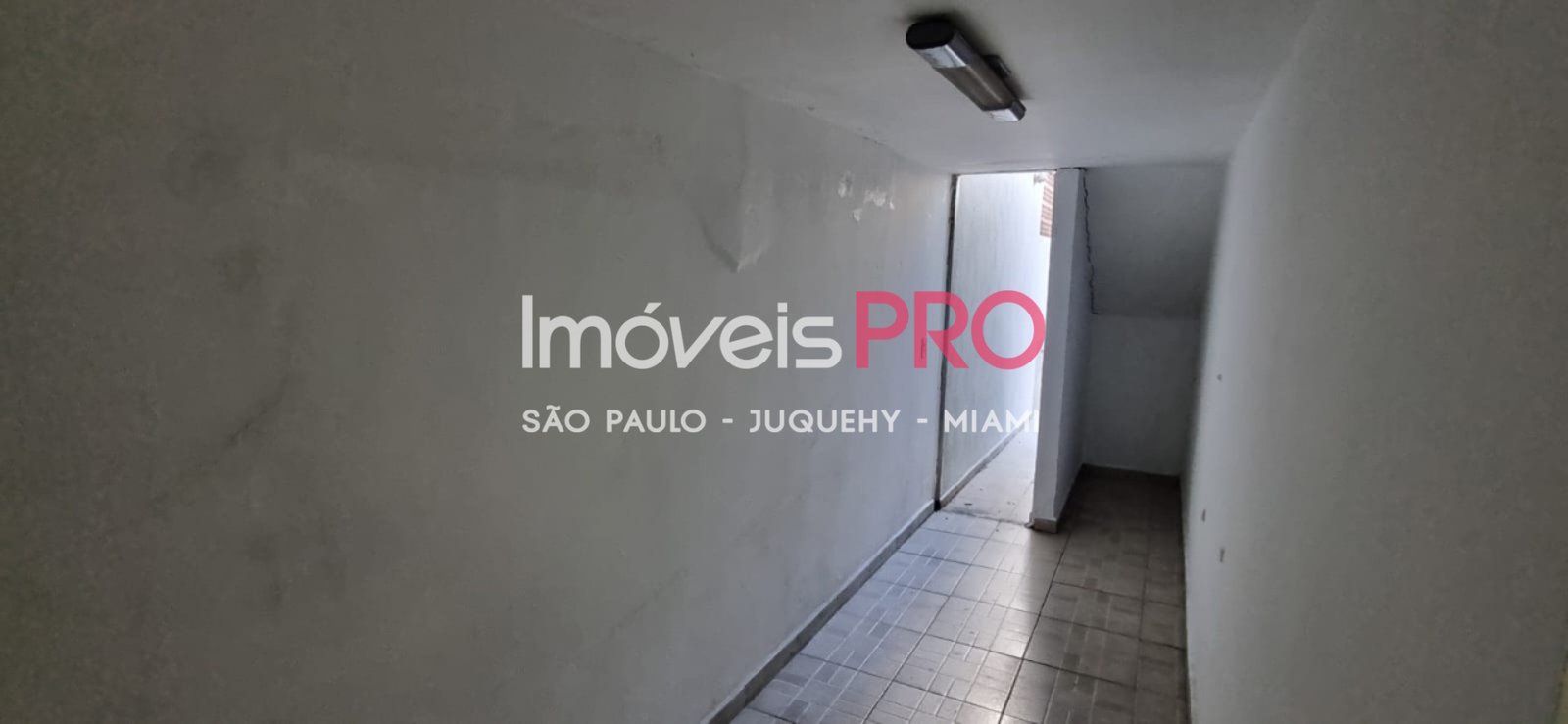 Foto :: IP40048