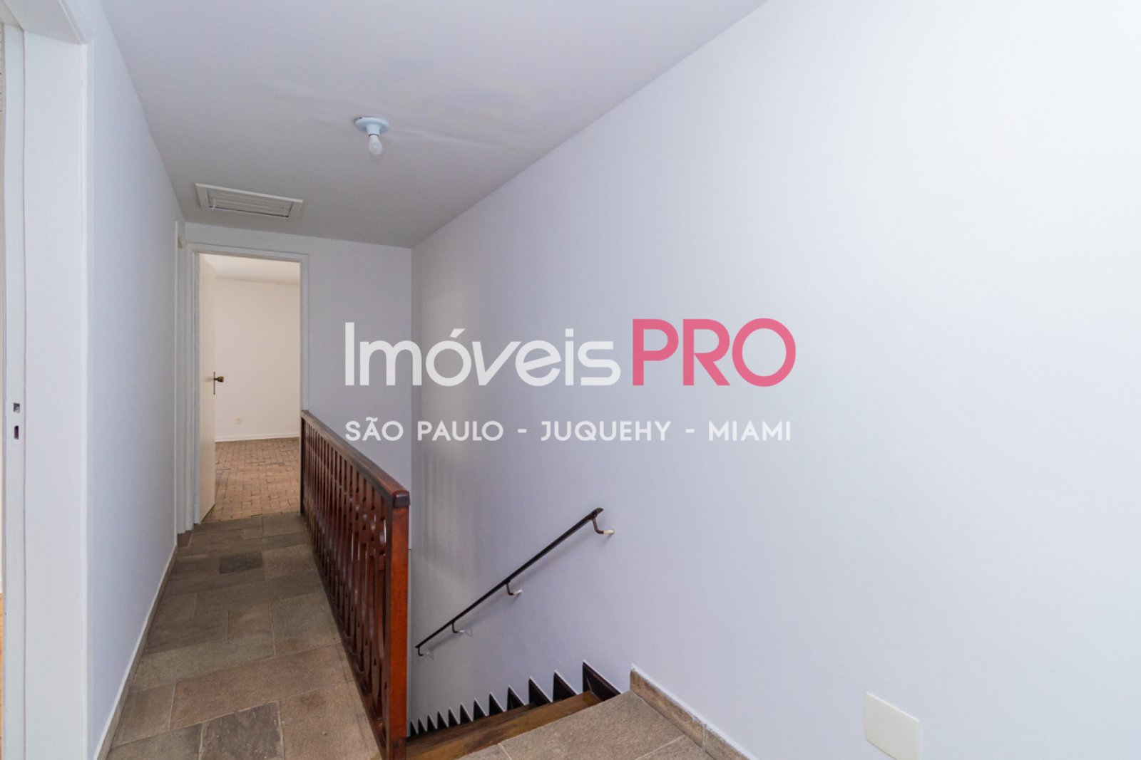 Foto :: IP40048