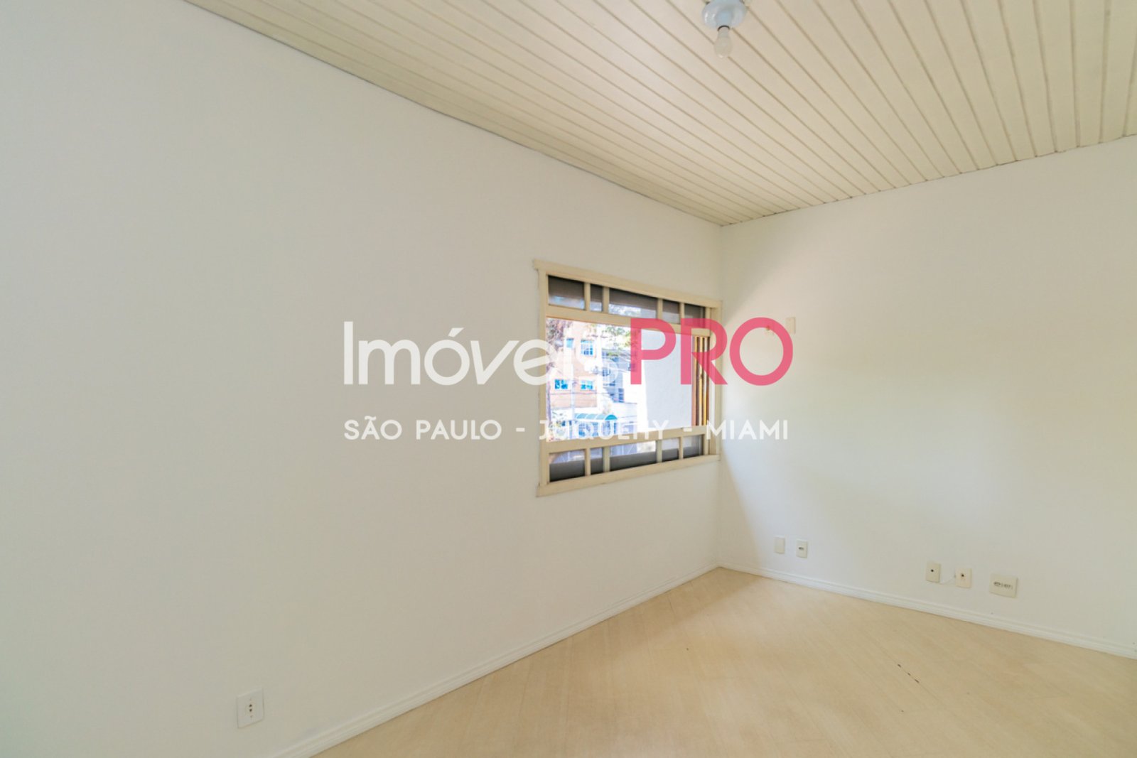 Foto :: IP40048