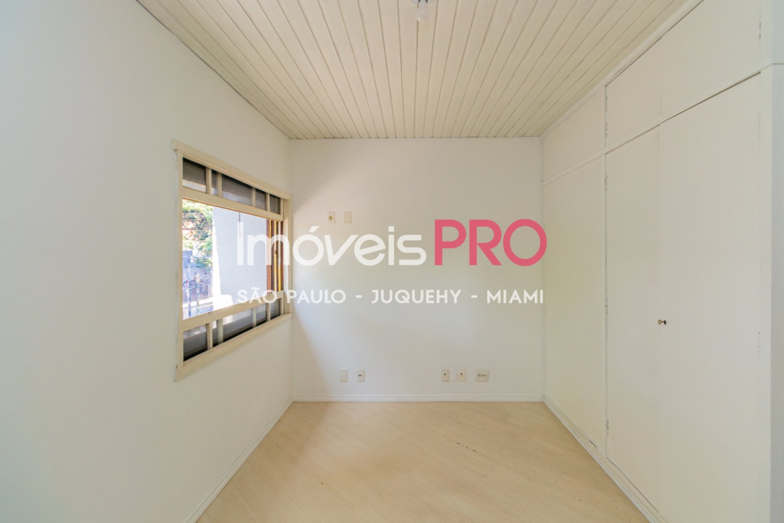 Foto :: IP40048