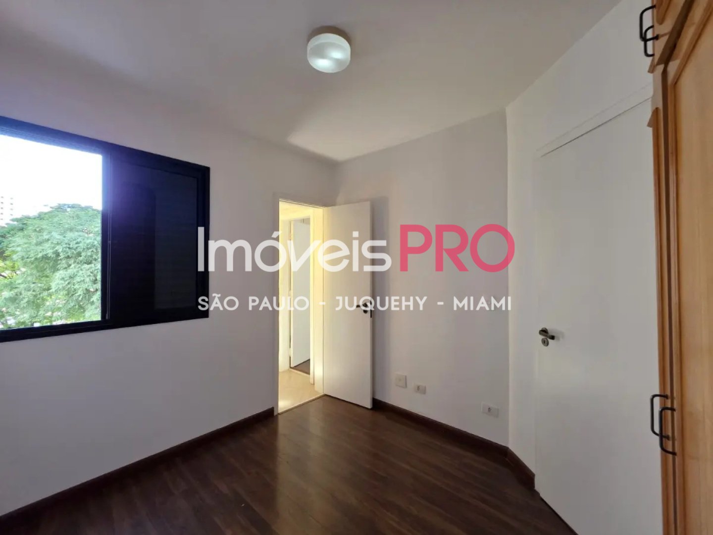 Foto :: IP40068