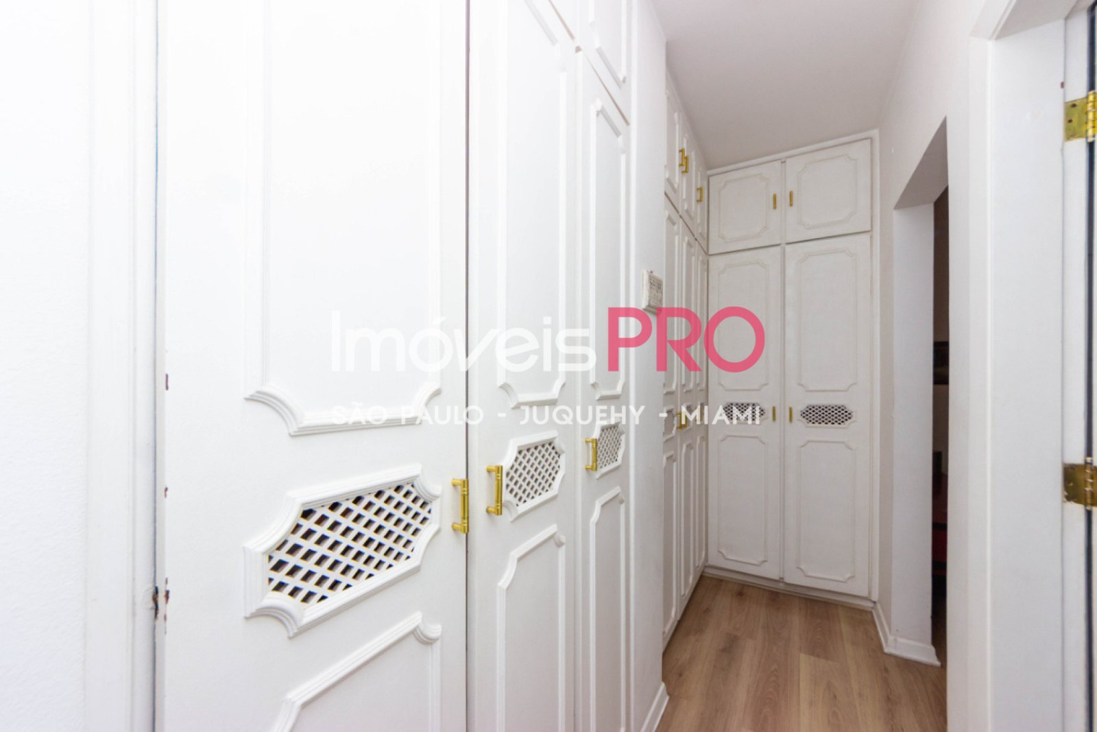 Foto :: IP40073
