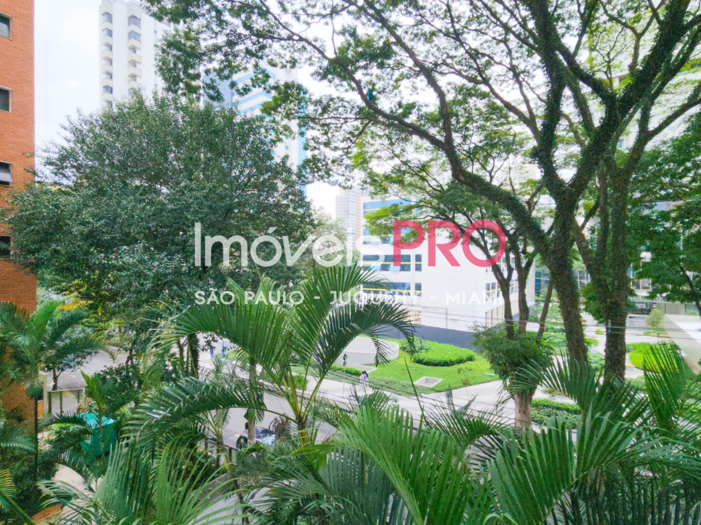 Foto :: IP40073
