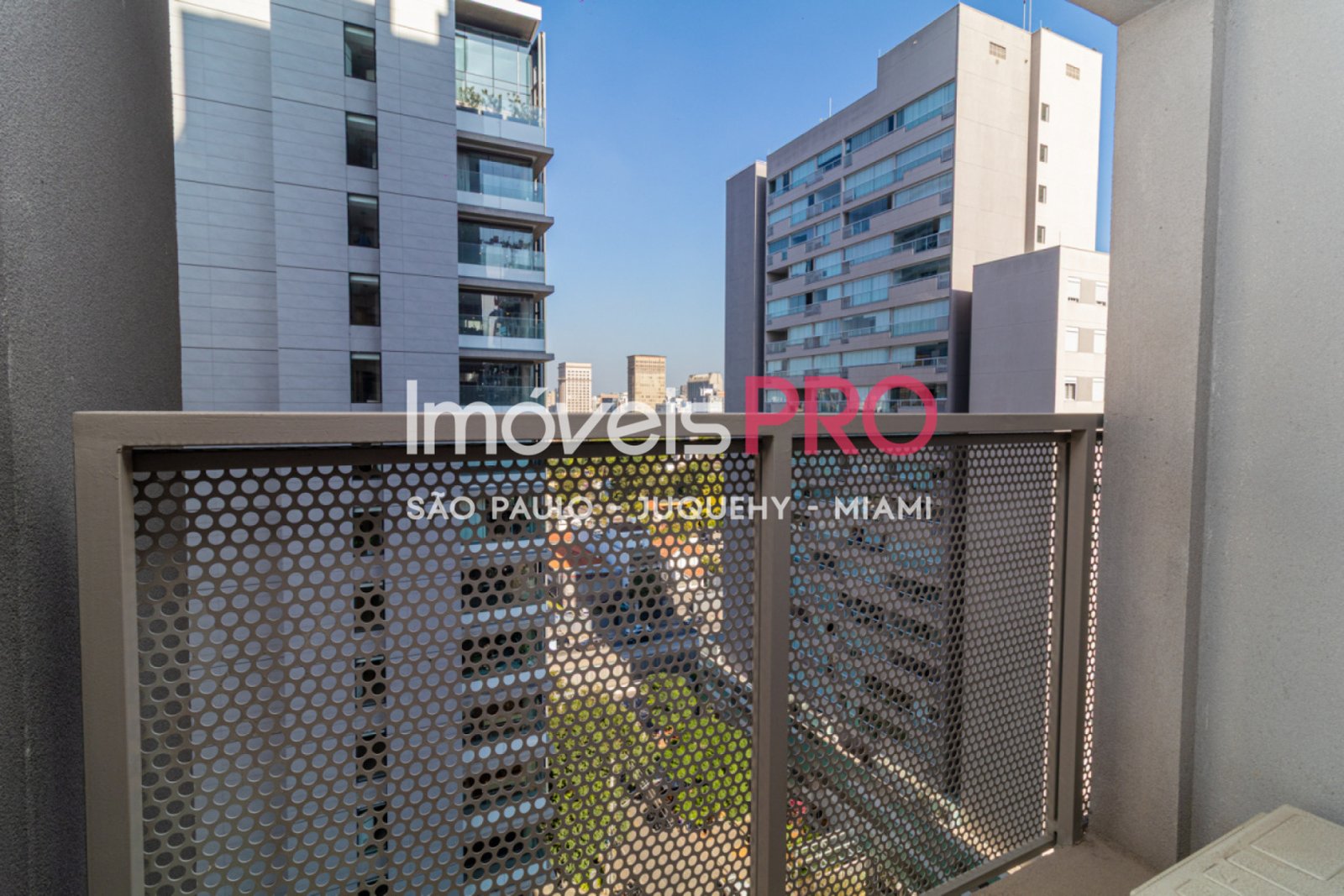 Foto :: IP40076