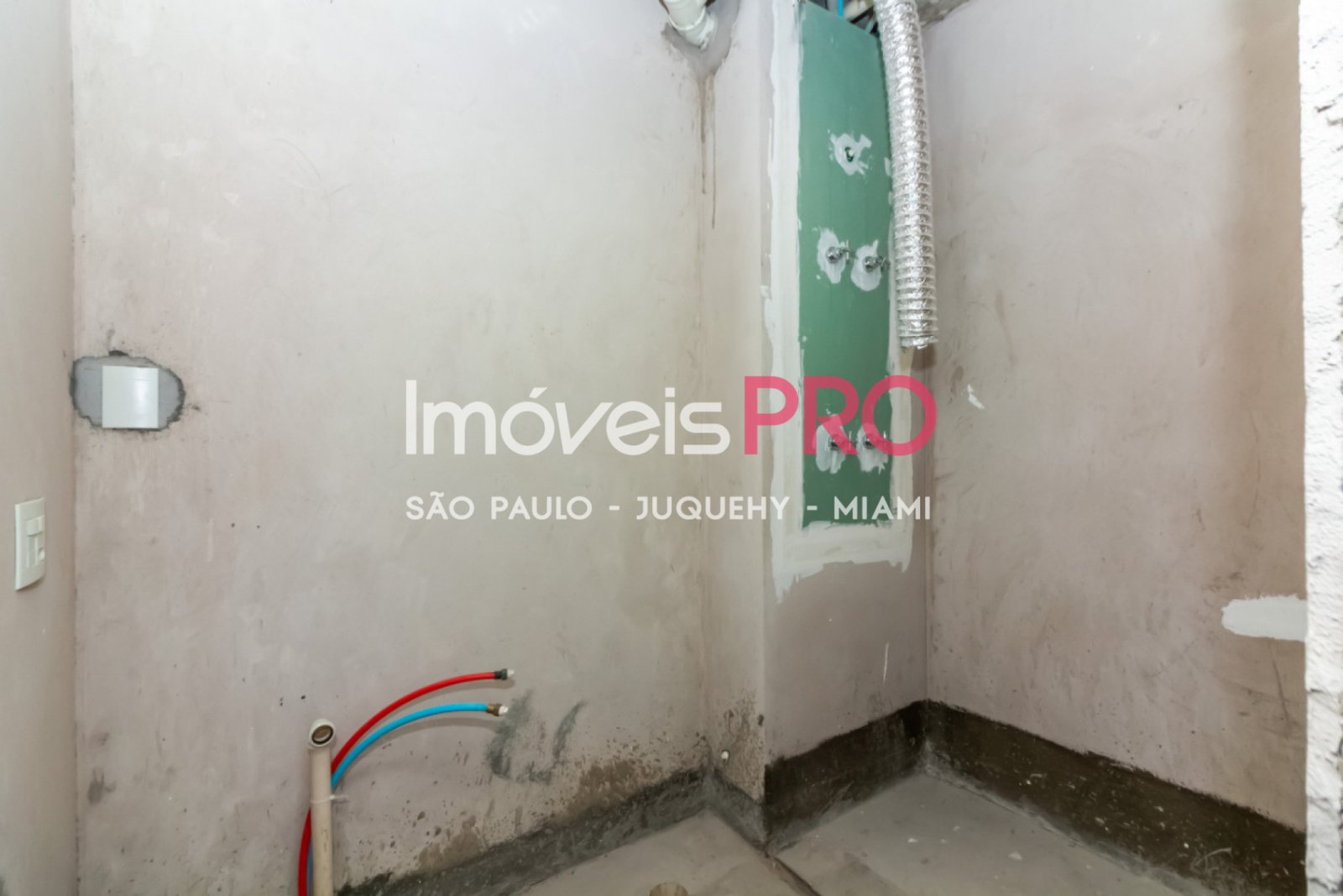 Foto :: IP40081